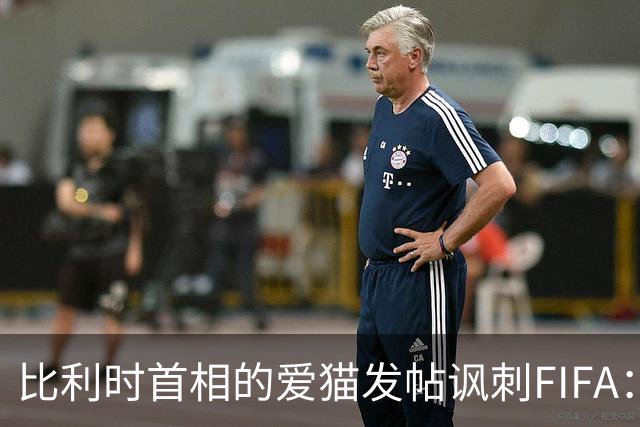 比利时首相的爱猫发帖讽刺FIFA：“红牌？”我照样继续踢！